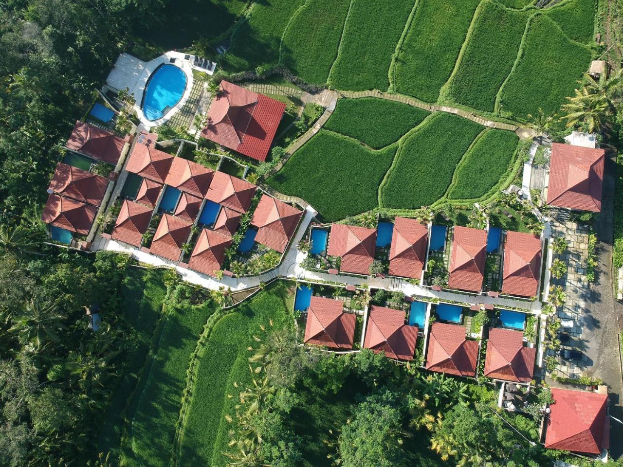 Vrindavan Ubud Villa Tegallalang  Exterior foto